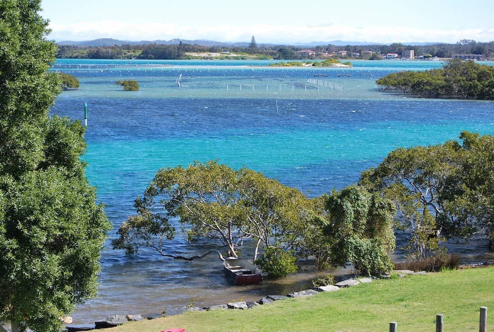 A Large Body of Water With Trees in the Foreground — MPE Adventure Quads & Bikes In Forster, NSW