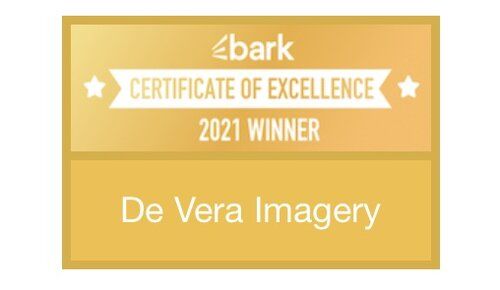 Certificate of Exellence 2021 Winner for De Vera Imagery