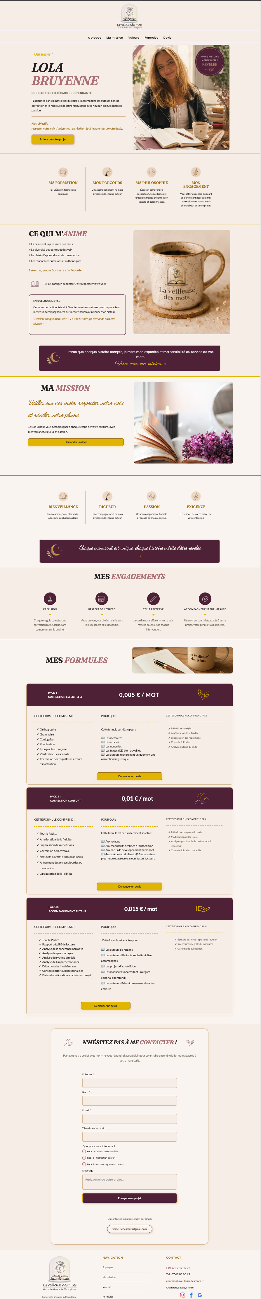 Aperçu du site sur ordinateur