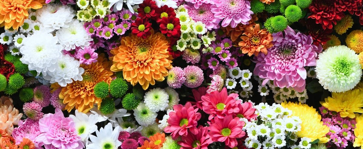 Hand holding yellow, pink, and red flowers at a colorful flower market
