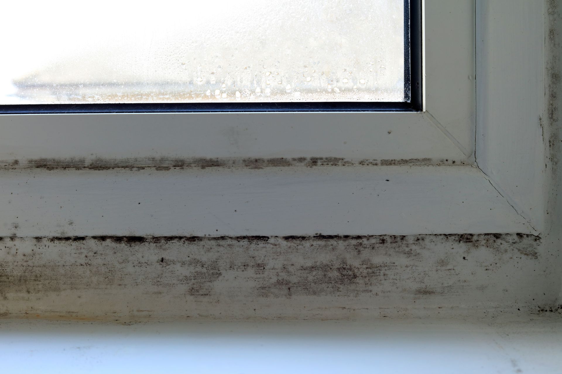 Mold growth on a white window frame, near the glass pane.