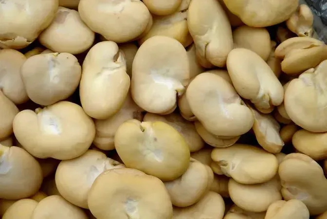 Primer plano de unas judías de color beige pálido apiladas, llenando el encuadre.