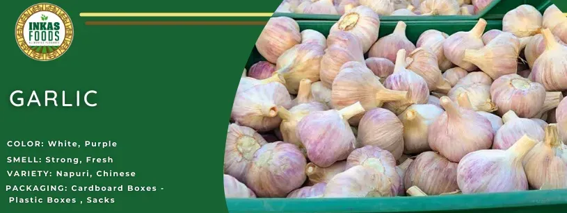 Ajo en una etiqueta verde de productos agrícolas con un montón de bulbos de ajo a la derecha.