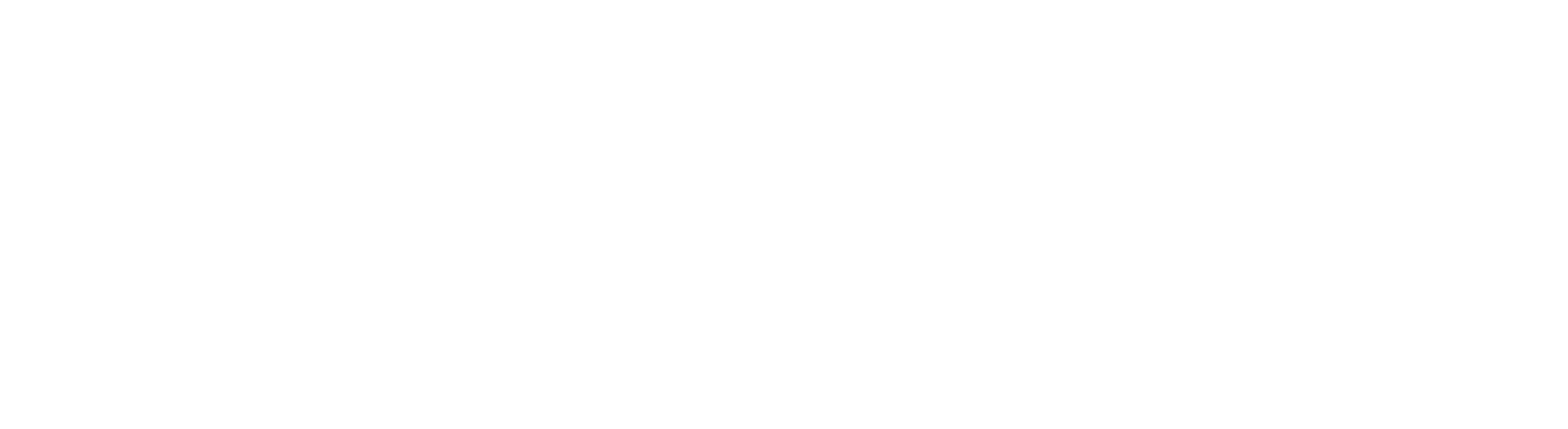 Logo on Hero Image
