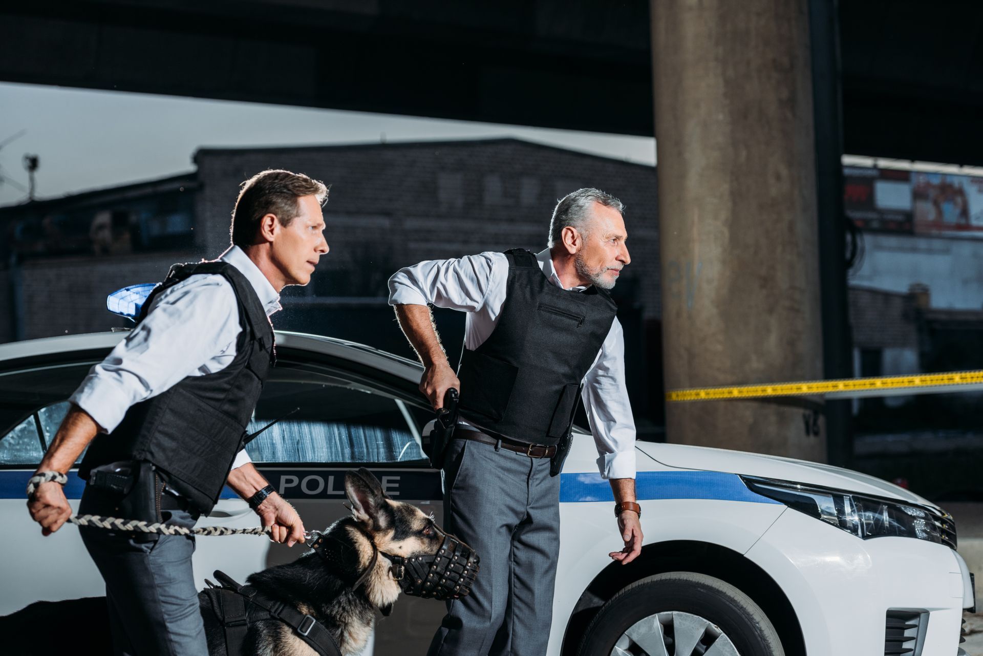 side view of police officers