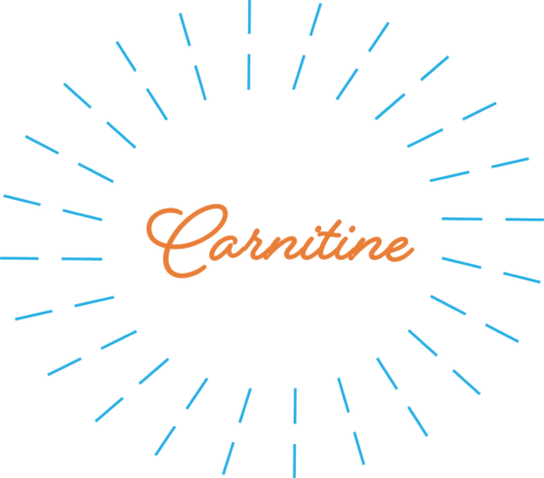 L-Carnitine in Houston