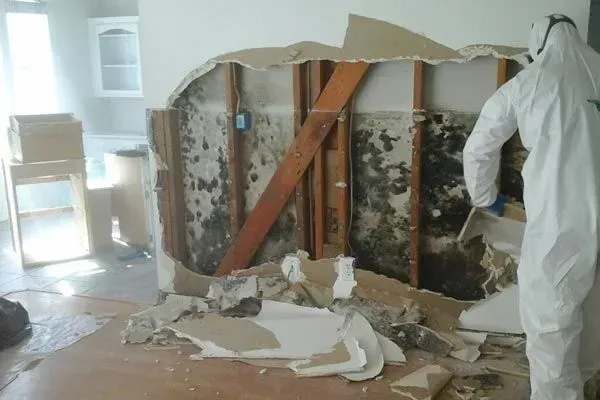 Worker in white suit inspecting a wall opened to exposed mold and damaged framing during demolition.