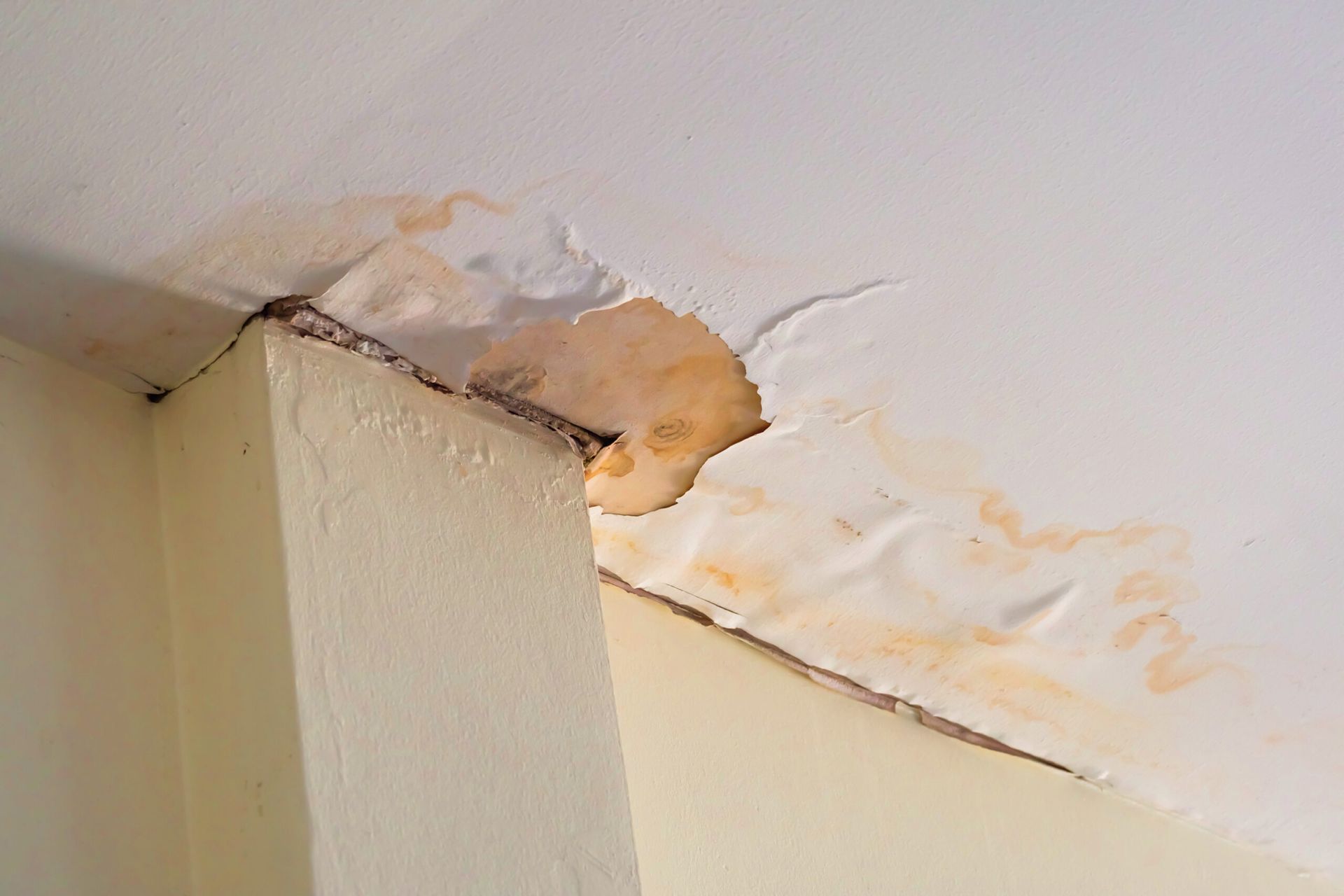 Water-damaged ceiling corner with peeling paint and brown stains near a wall edge