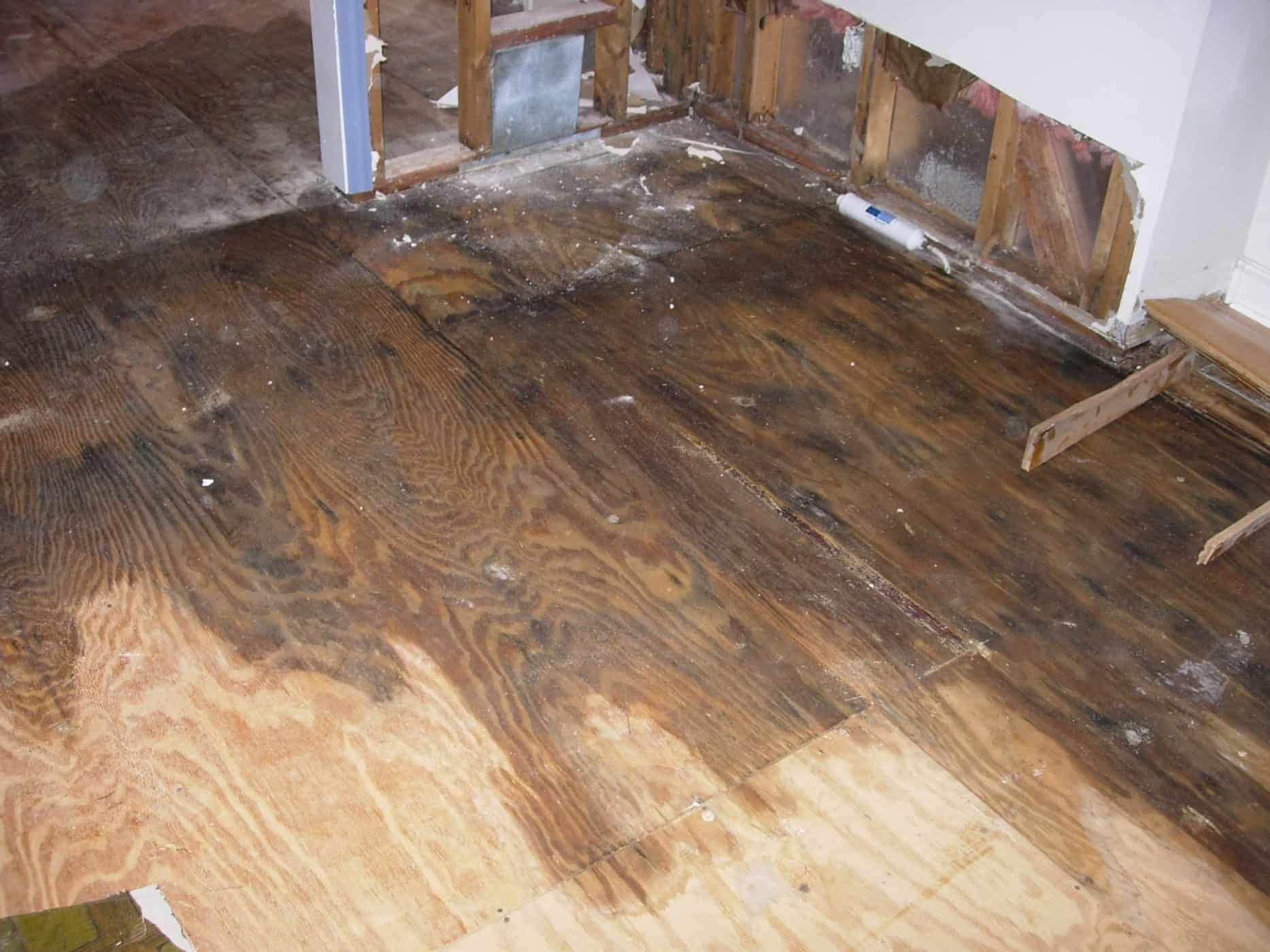Water-damaged wooden floor with dark stains and exposed subfloor in a damaged room