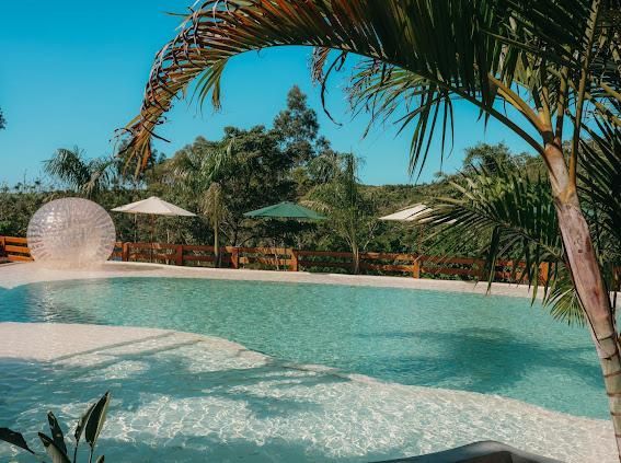 Piscina com água cristalina, palmeiras e uma bolha gigante; dia ensolarado.