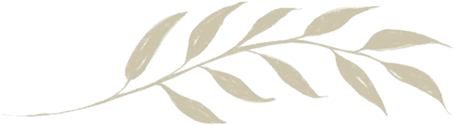 Ilustração bege de um ramo de folhas sobre um fundo branco.