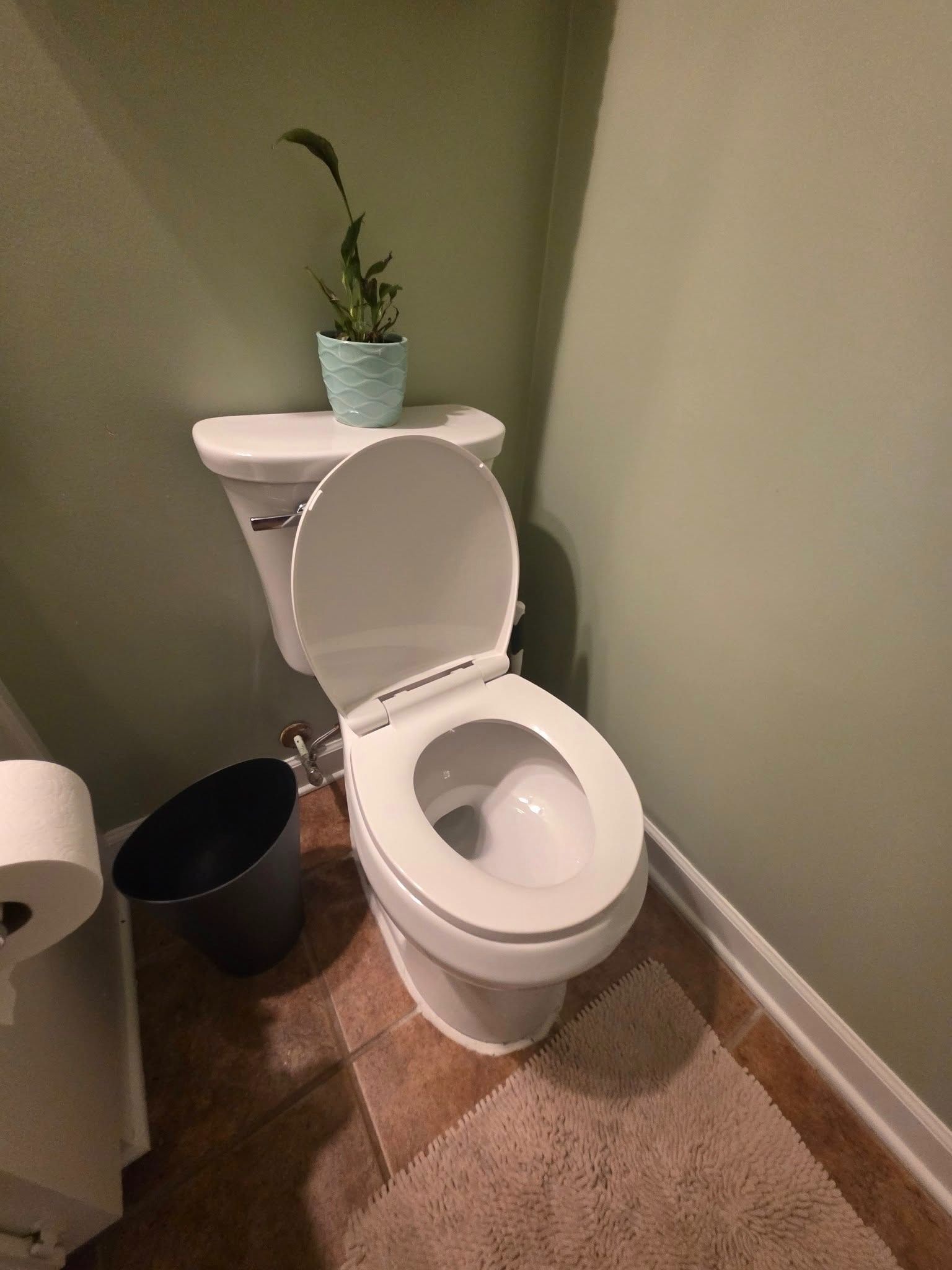 Small bathroom with an open toilet, a trash can, and a potted plant on the tank.