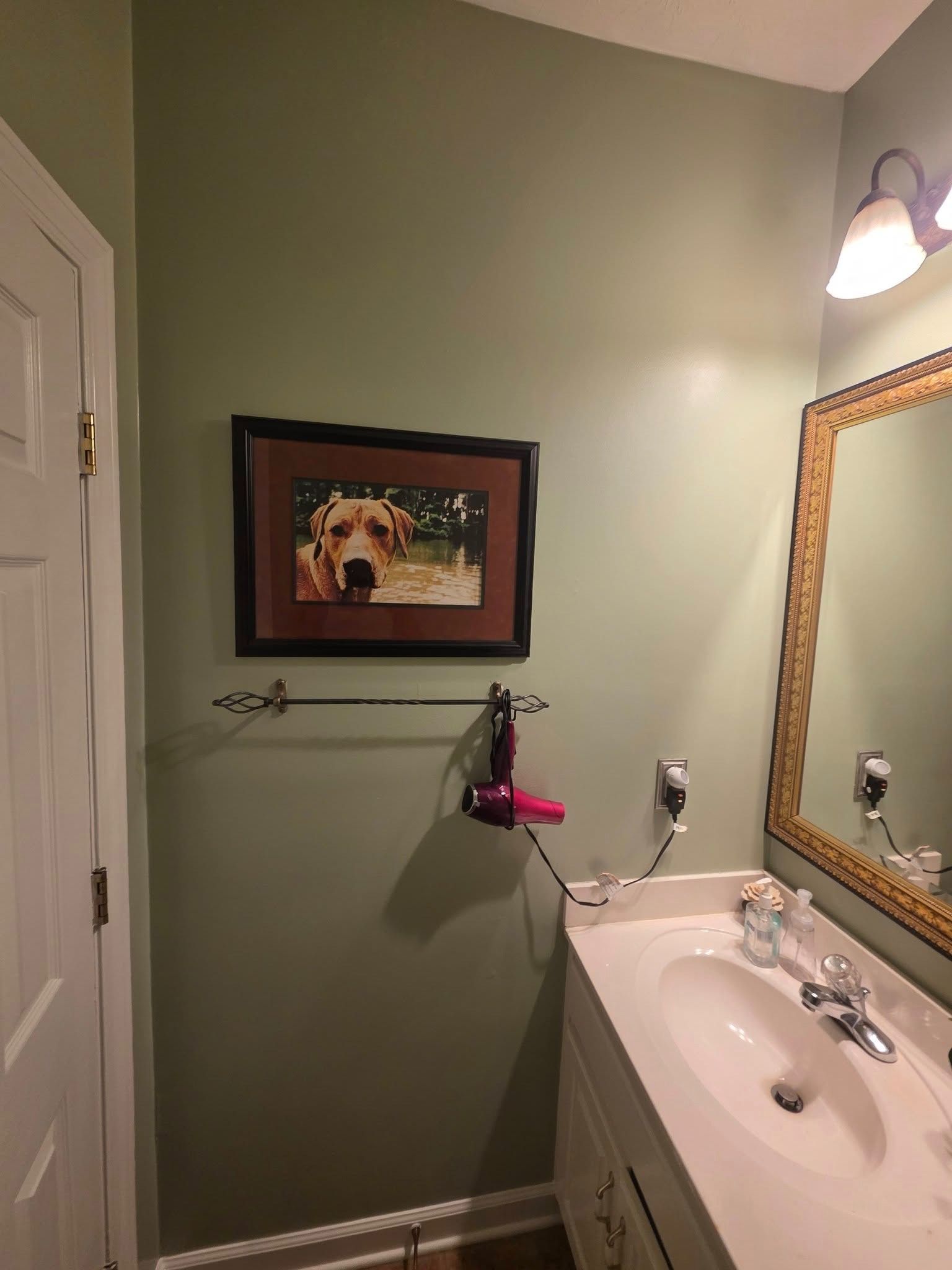 Small bathroom with green walls, framed dog art, towel bars, mirror, sink, and overhead light.