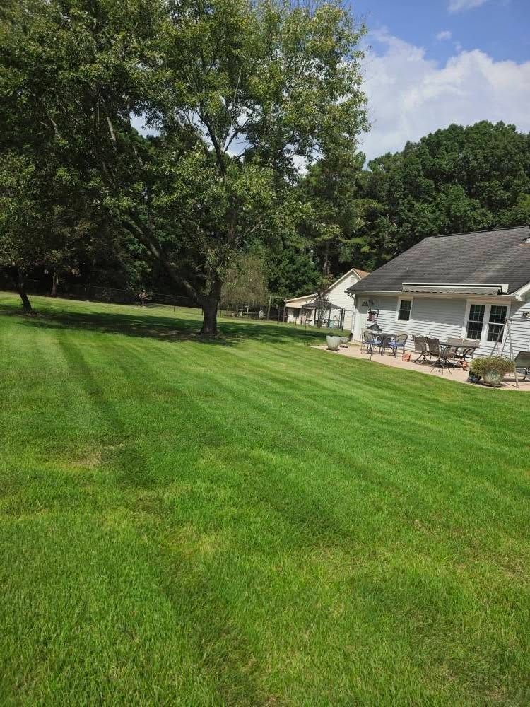 Grassy backyard with large trees and a white house with a patio under a bright sky