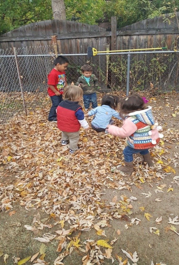 A group of children are playing in a pile of leaves.