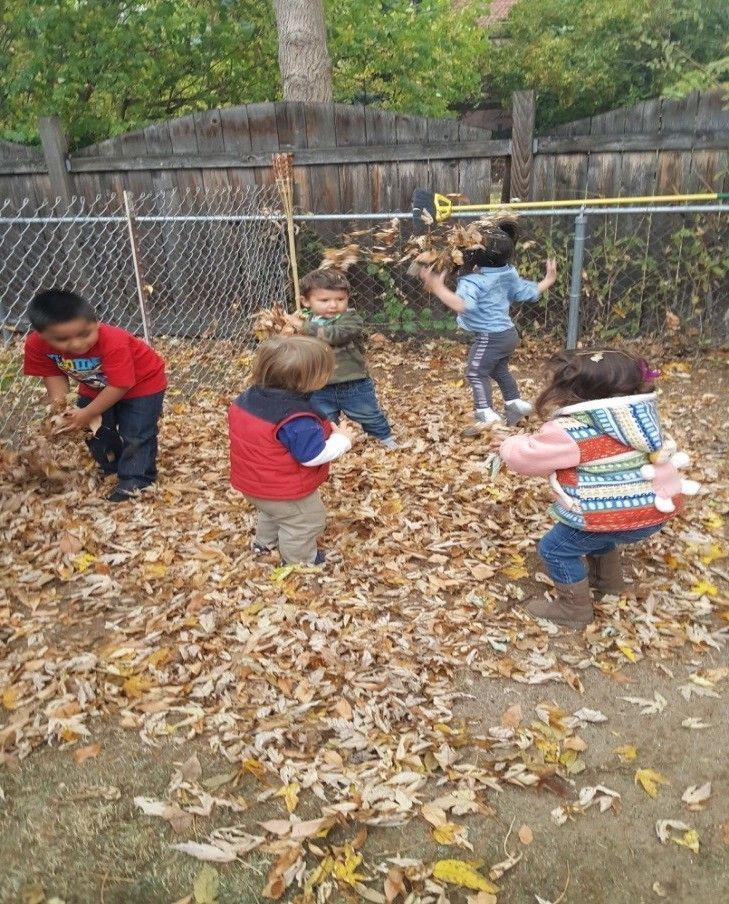A group of children are playing in a pile of leaves