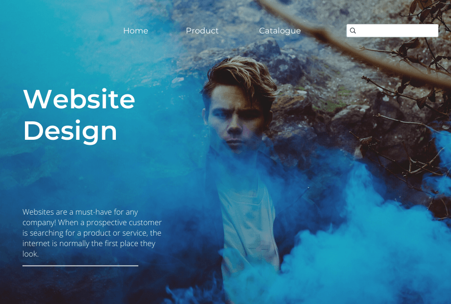 website design