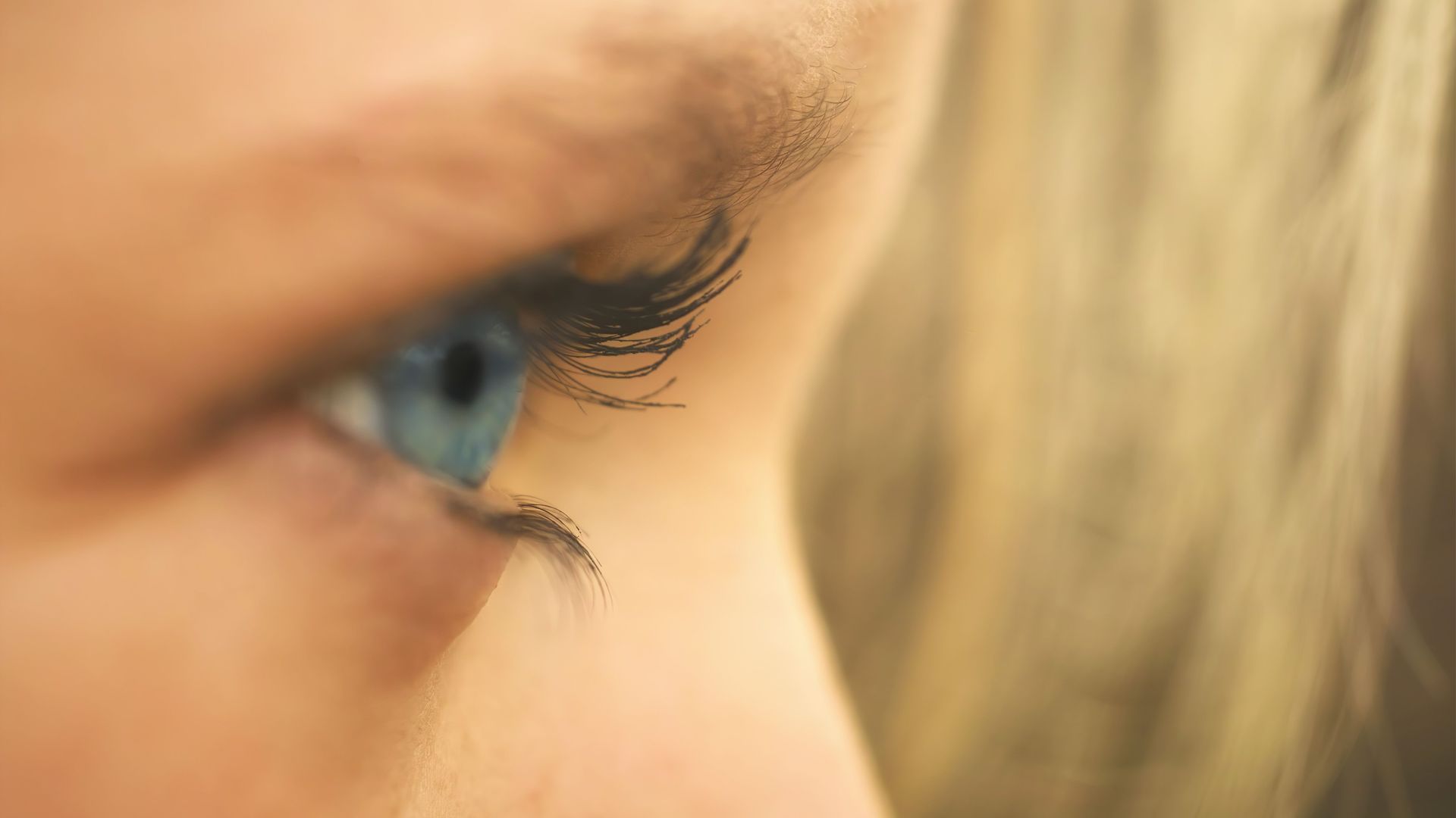 Psycho-educatie geeft inzicht over hoe je brein werkt. Dit kan verhelderend zijn en erkenning geven als het gaat om bijvoorbeeld trauma, depressie, autisme en adhd.