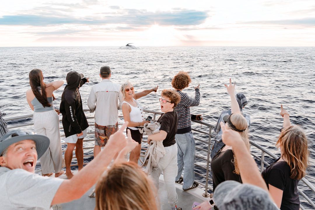 A group of people are whale watching on a boat in the ocean.