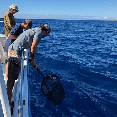 A group of people are cleaning up garbage in the ocean on a boat.