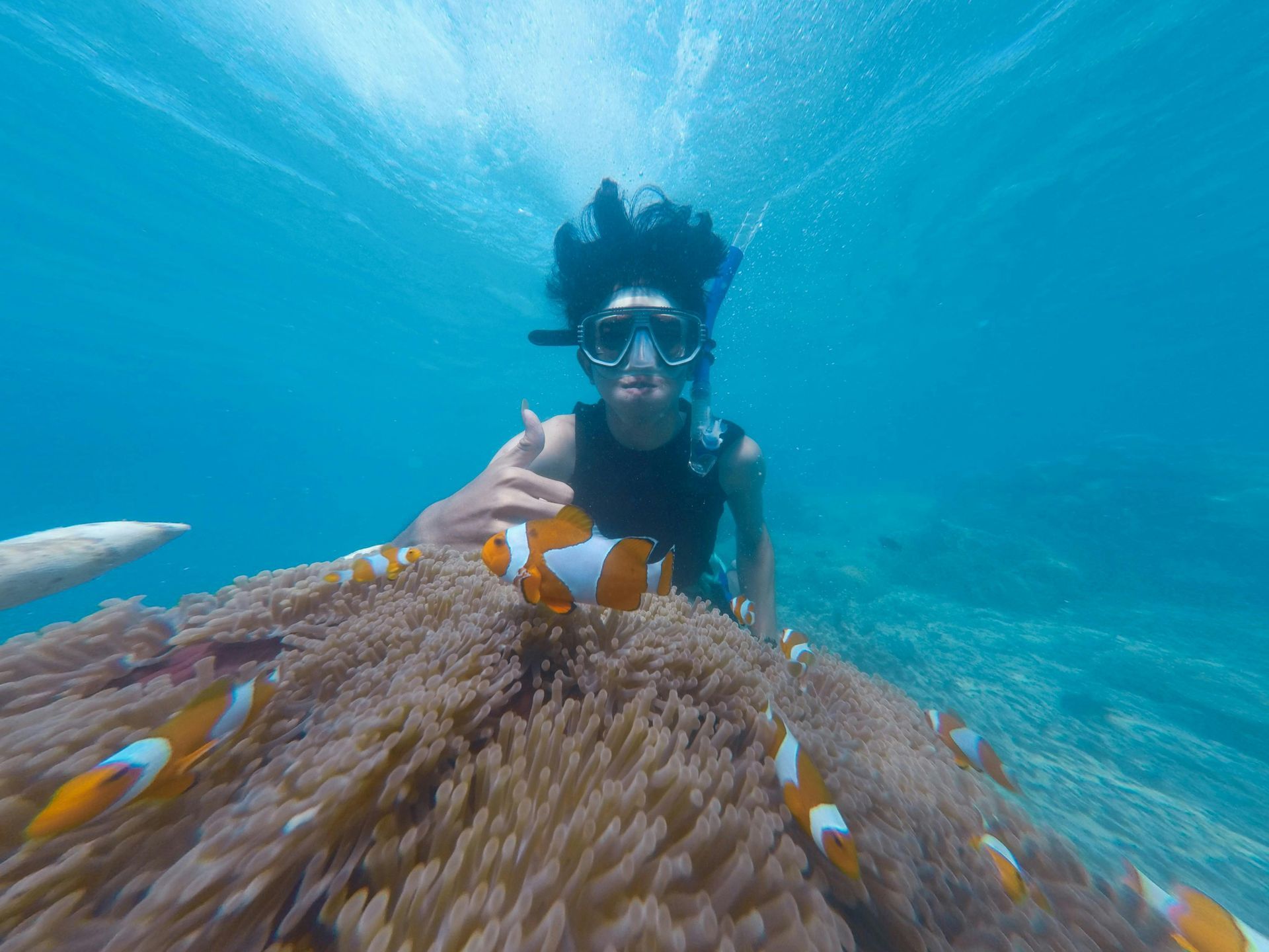 A man is snorkeling in the ocean with a clown fish.