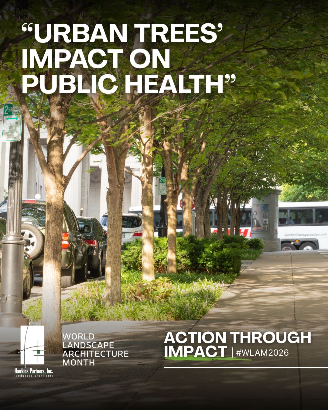 Design Through Impact: Urban Trees as Public Health Infrastructure