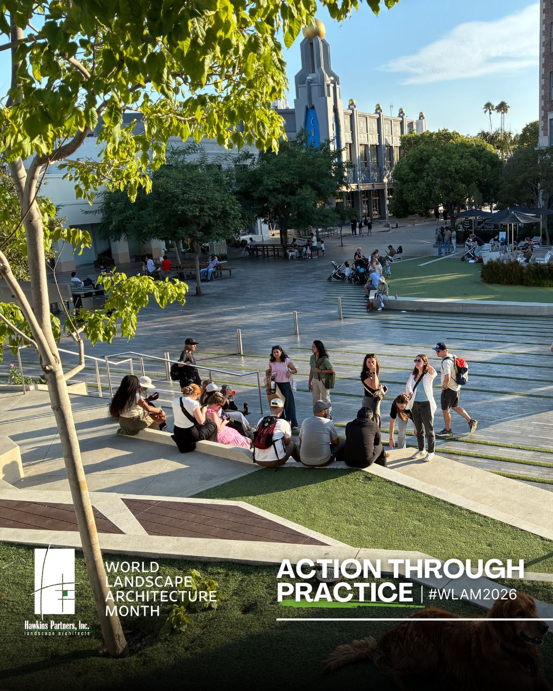 Design Through Practice: Why Hawkins Partners Travels Together Every Year