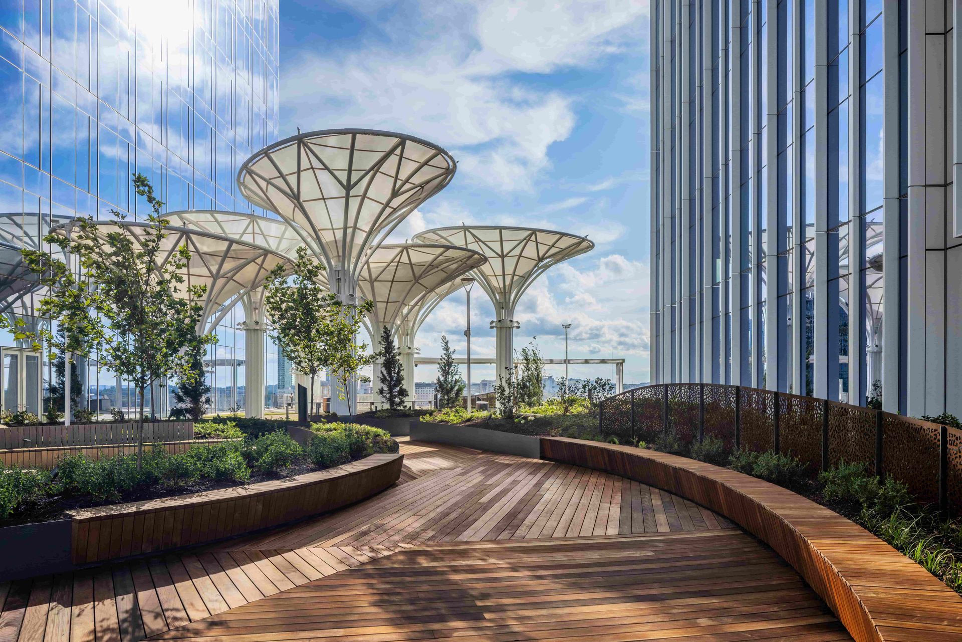 Curved wooden walkway in a modern rooftop garden with white canopy trees and city skyline views