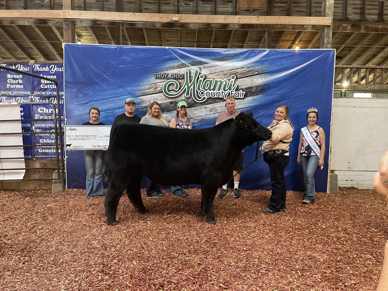 Show Steers, Show Heifers Shane Show Cattle, OH