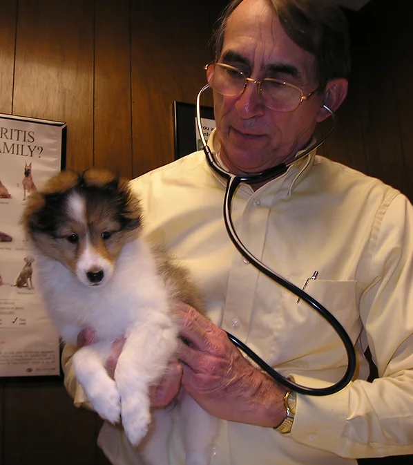 Meet the team hamilton oh dixie animal clinic