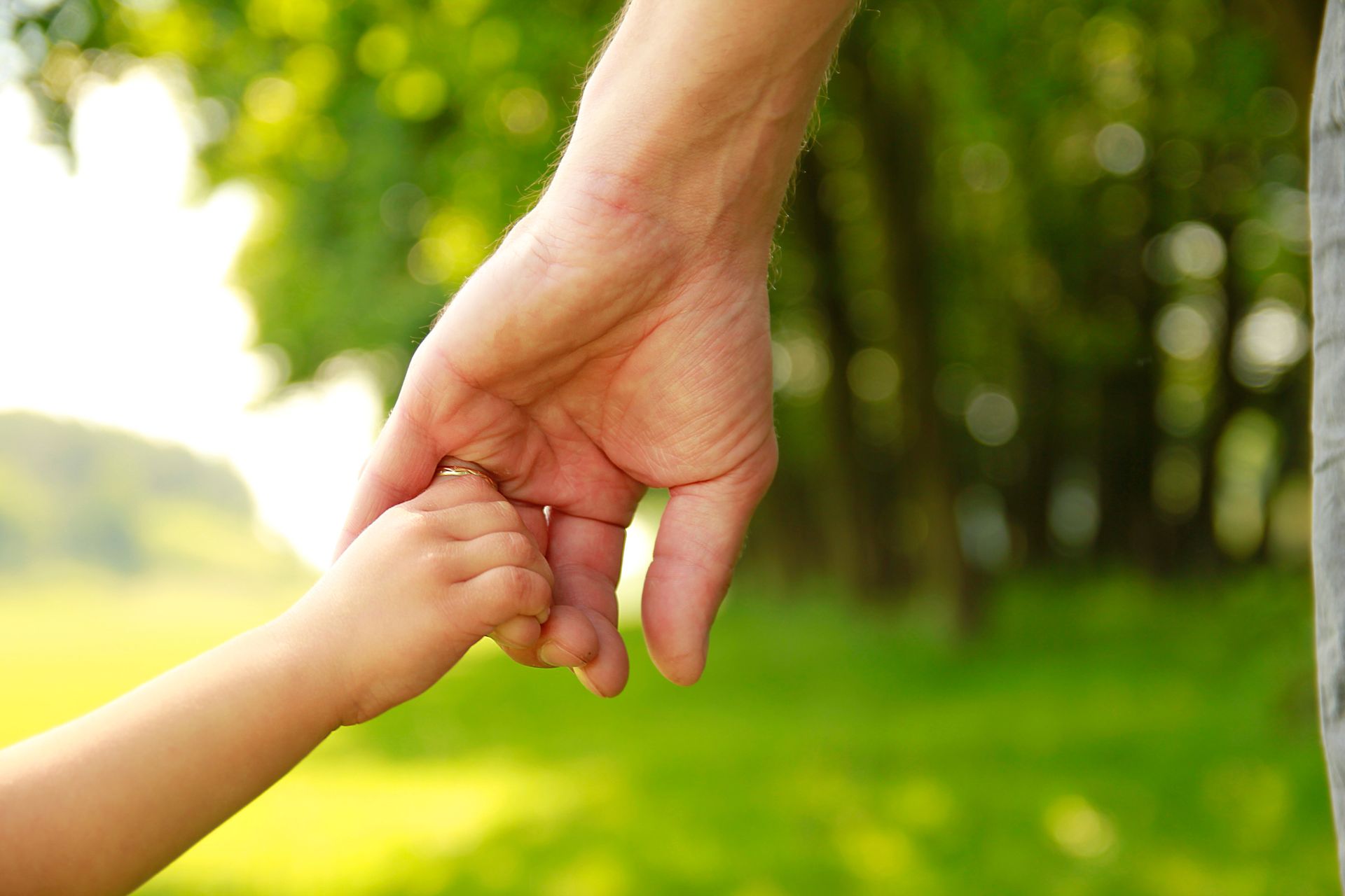 An adult’s hand gently holding a small child's hand in a sunny, green outdoor setting.