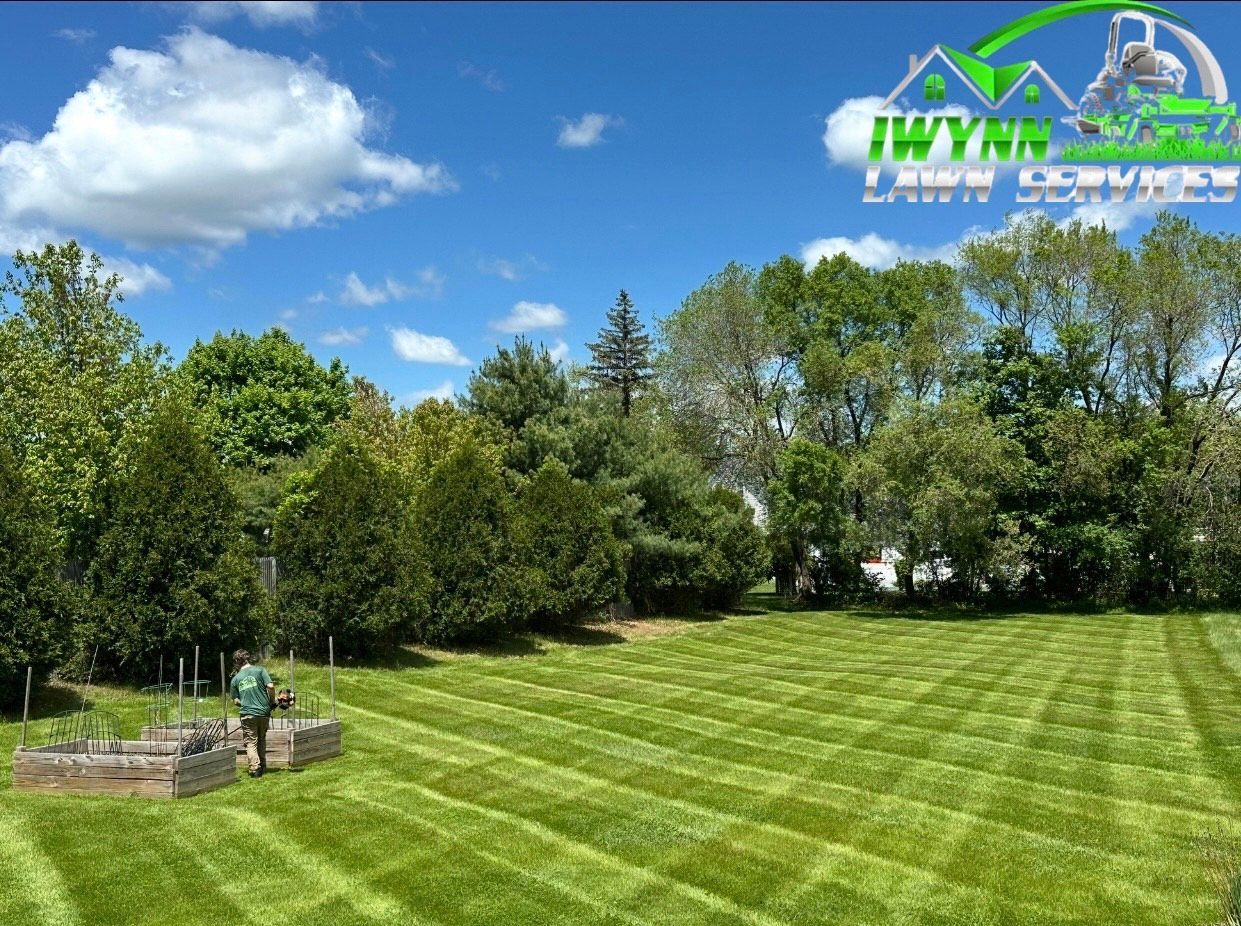Man mowing a striped green lawn on a sunny day with trees in the background.