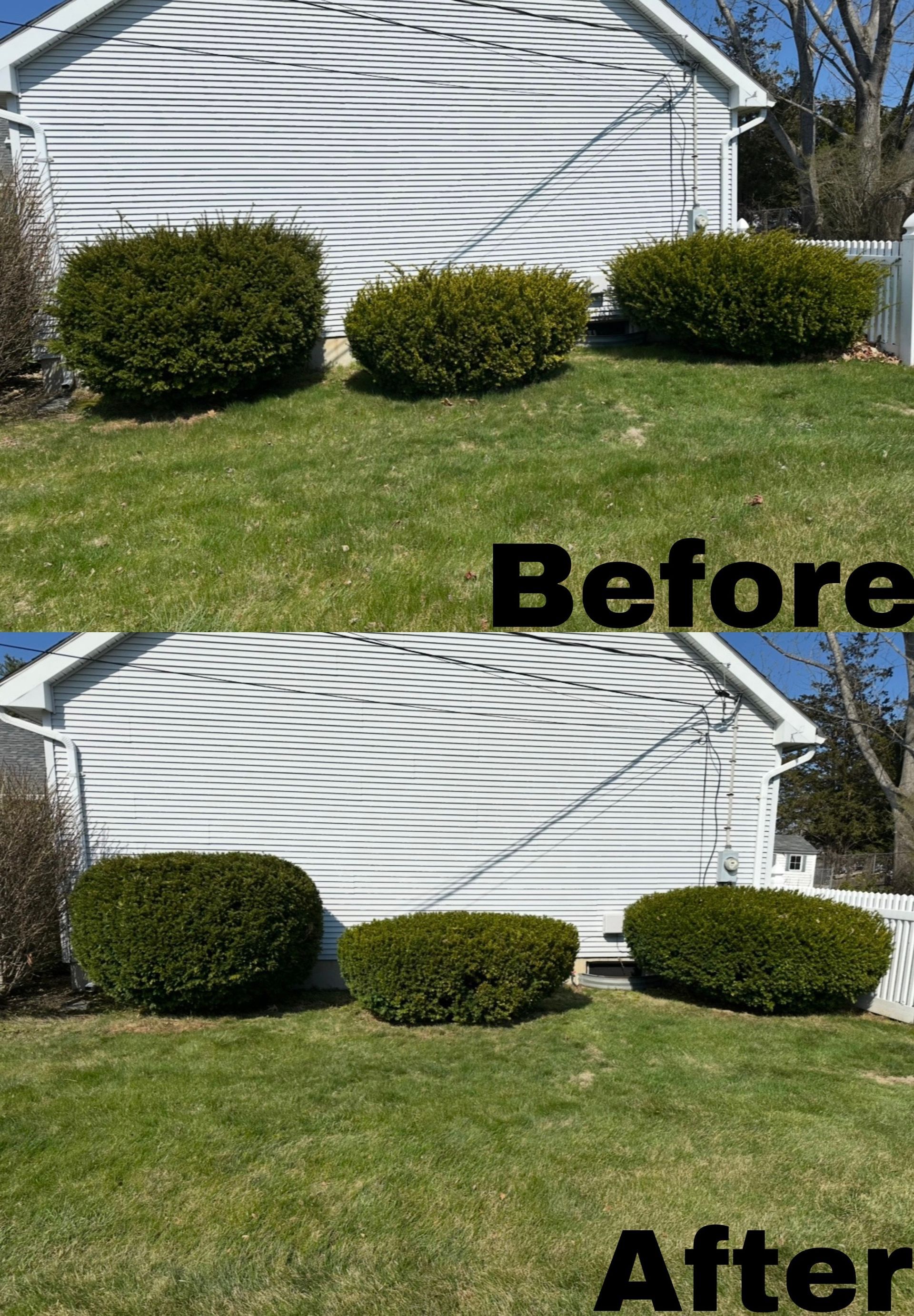 Comparison of three green bushes trimmed. Top: Before, overgrown. Bottom: After, neatly trimmed. White house background.