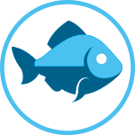 MARISQUERIA SOLO VERACRUZ ES BELLO Brochetas mar y tierra