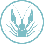 MARISQUERIA SOLO VERACRUZ ES BELLO Pescados