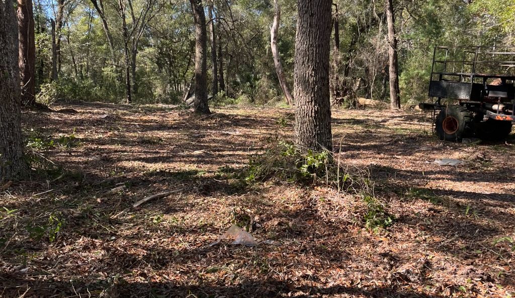 Comprehensive Land Clearing & Dirt Work Services in Putnam County, Florida