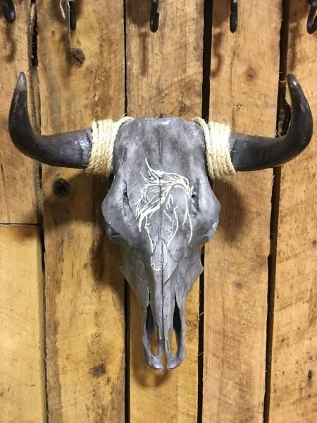 Mounted bull skull with long black horns against a wooden wall