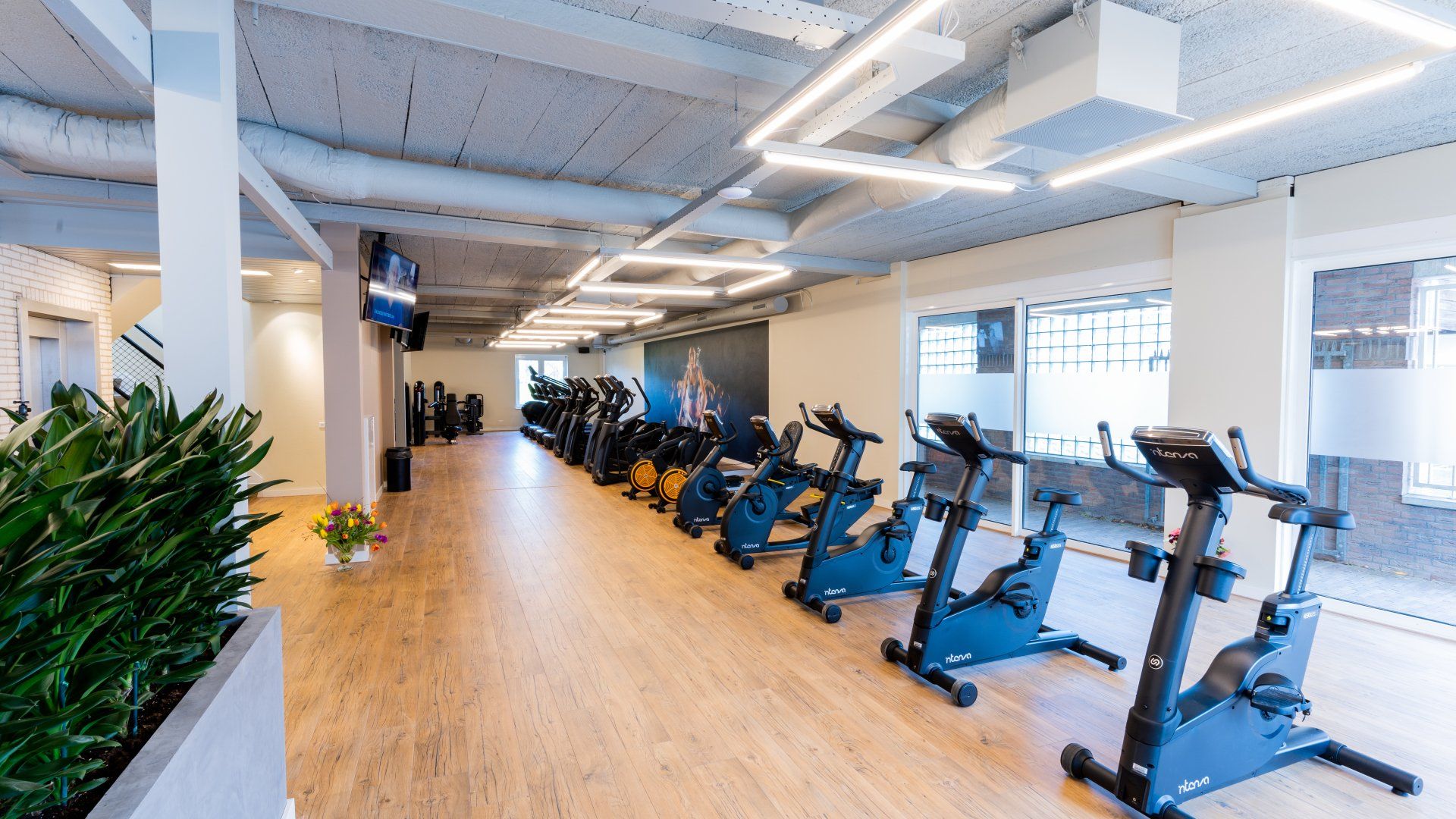 Fitnessen doe je bij Fit To All