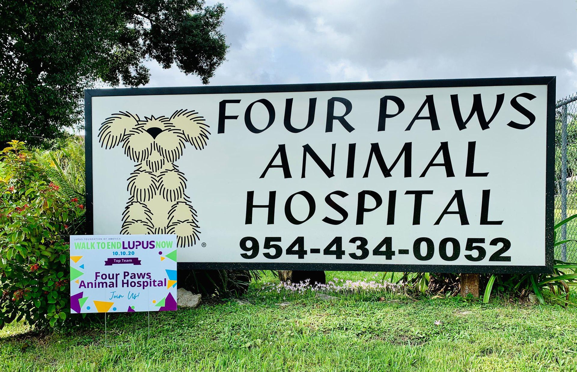 Vet Clinic Cooper City, FL Four Paws Animal Hospital