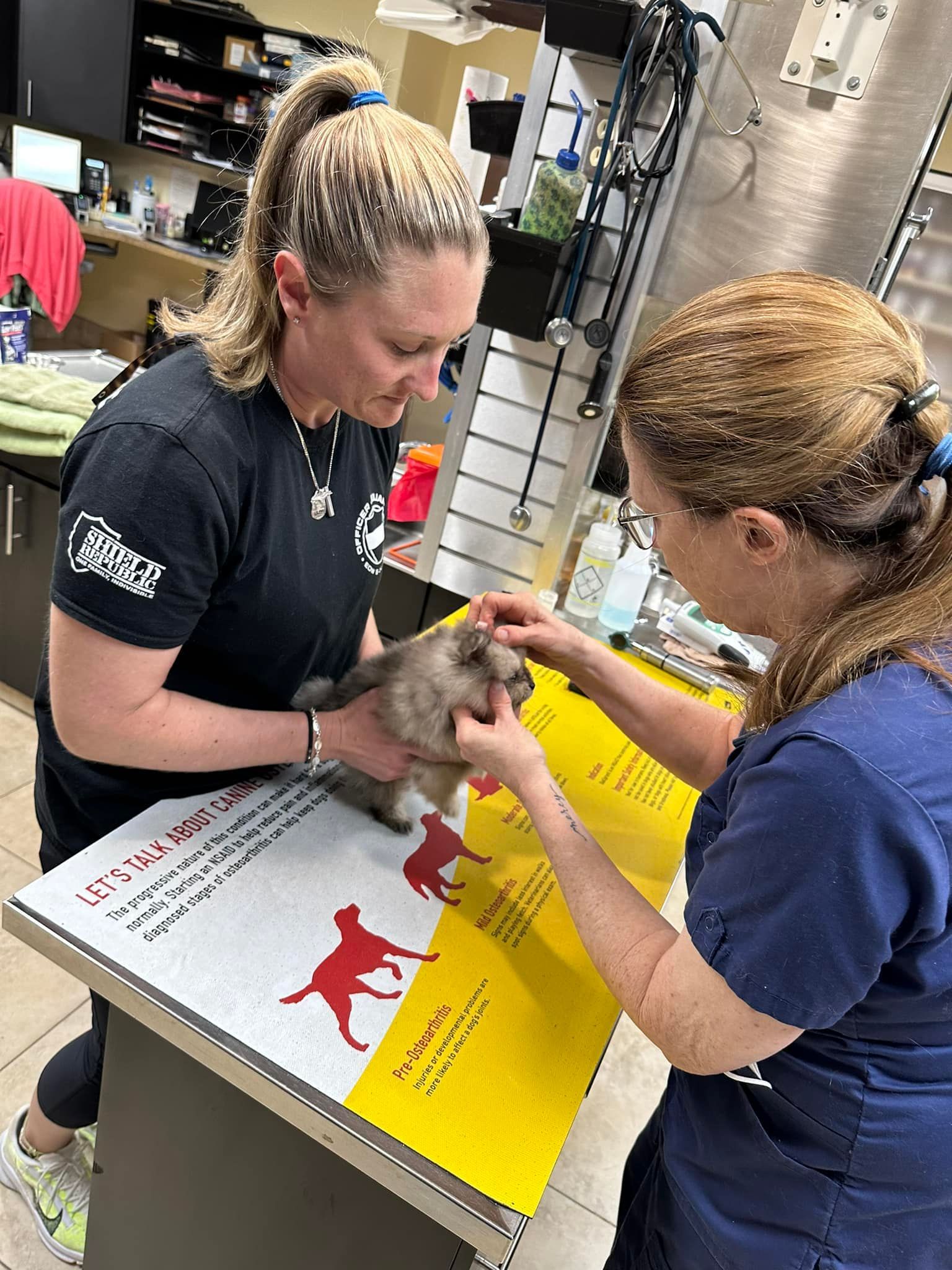 Two Staff — Cooper City, FL — Four Paws Animal Hospital