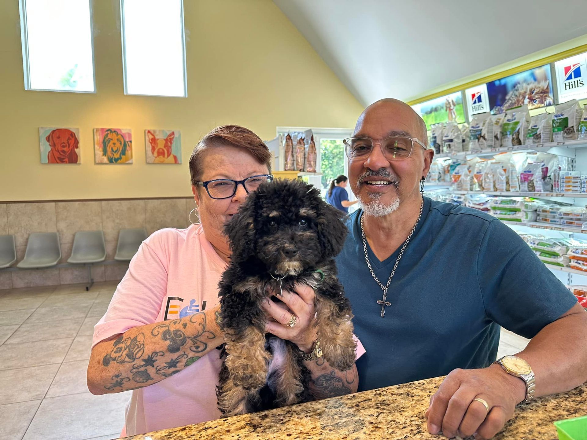 Dog #1 — Cooper City, FL — Four Paws Animal Hospital