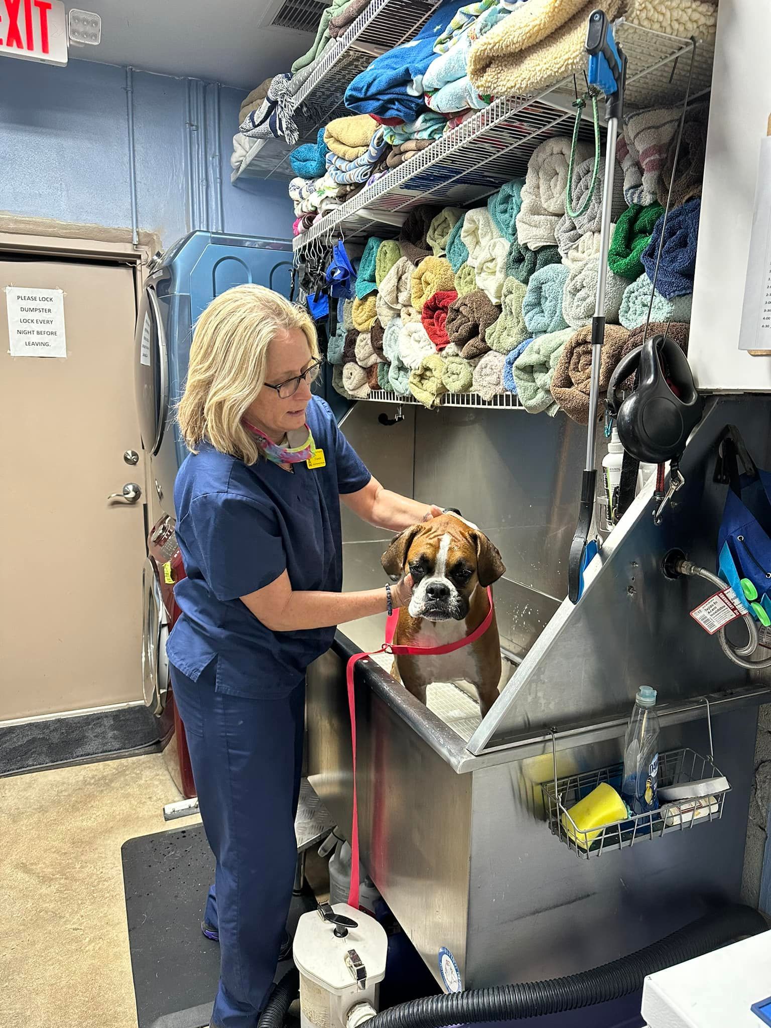 Dog Bathing — Cooper City, FL — Four Paws Animal Hospital