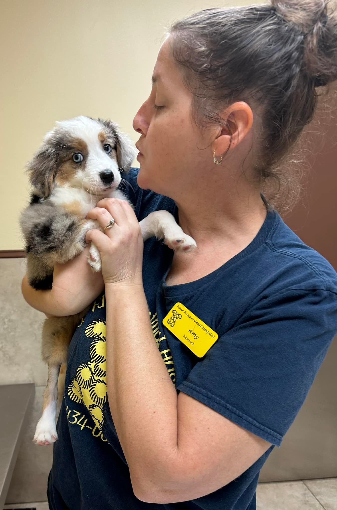 Dog #3 — Cooper City, FL — Four Paws Animal Hospital