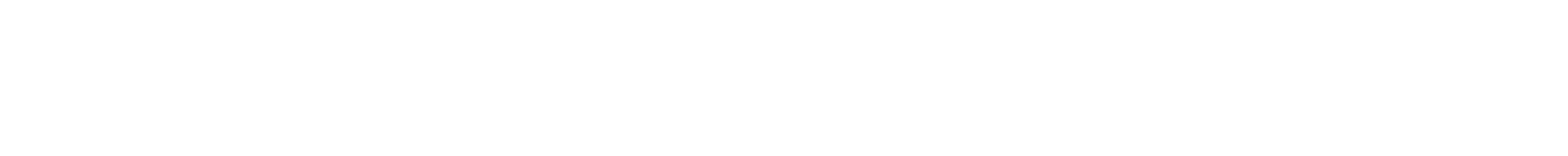 White horizontal bar on a plain background