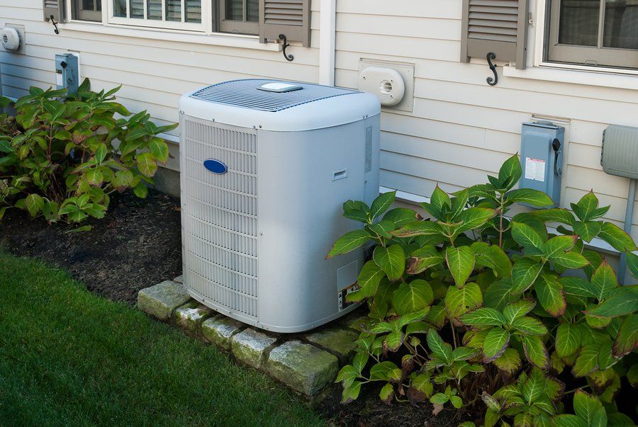 air conditioner near the plant