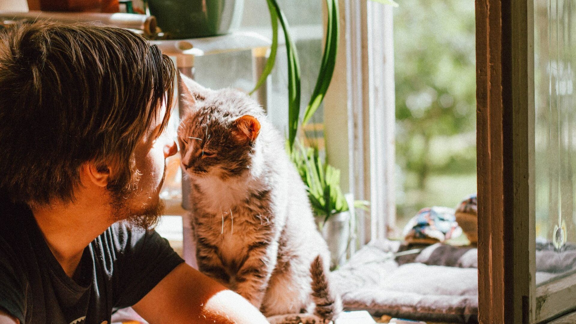 A man playing with his cat