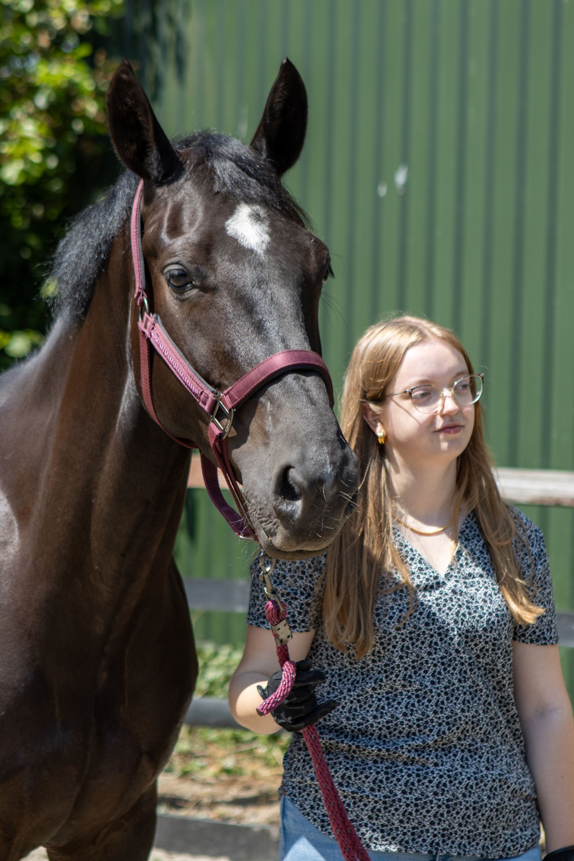 Vrouw met bril die een donker paard met een witte vlek vasthoudt, voor een houten constructie en een groene muur.