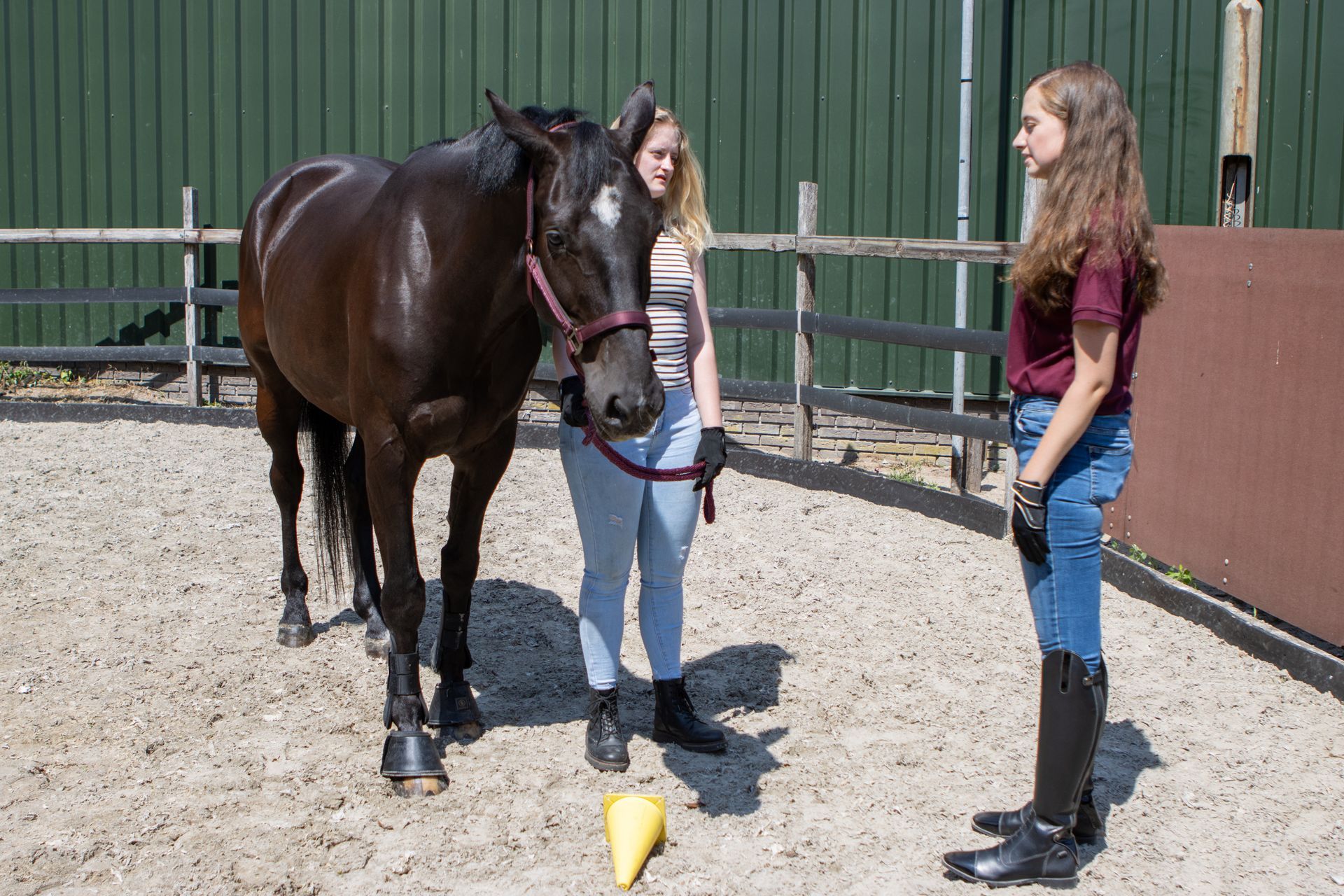 Twee jonge vrouwen met een donker paard in een zanderige stal. Eén vrouw houdt de leiband van het paard vast.