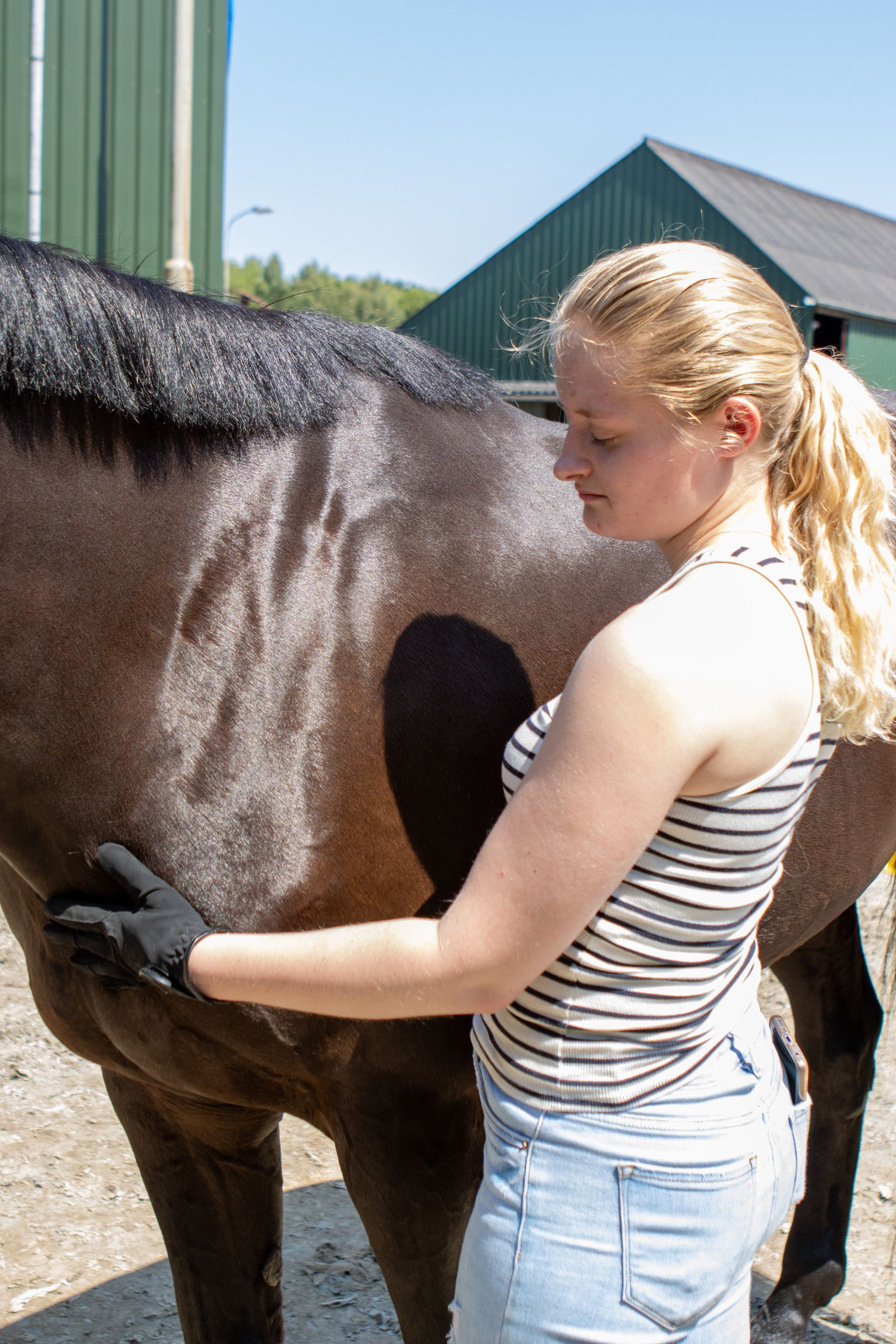 Vrouw in een gestreept shirt verzorgt een dark horse, buiten.
