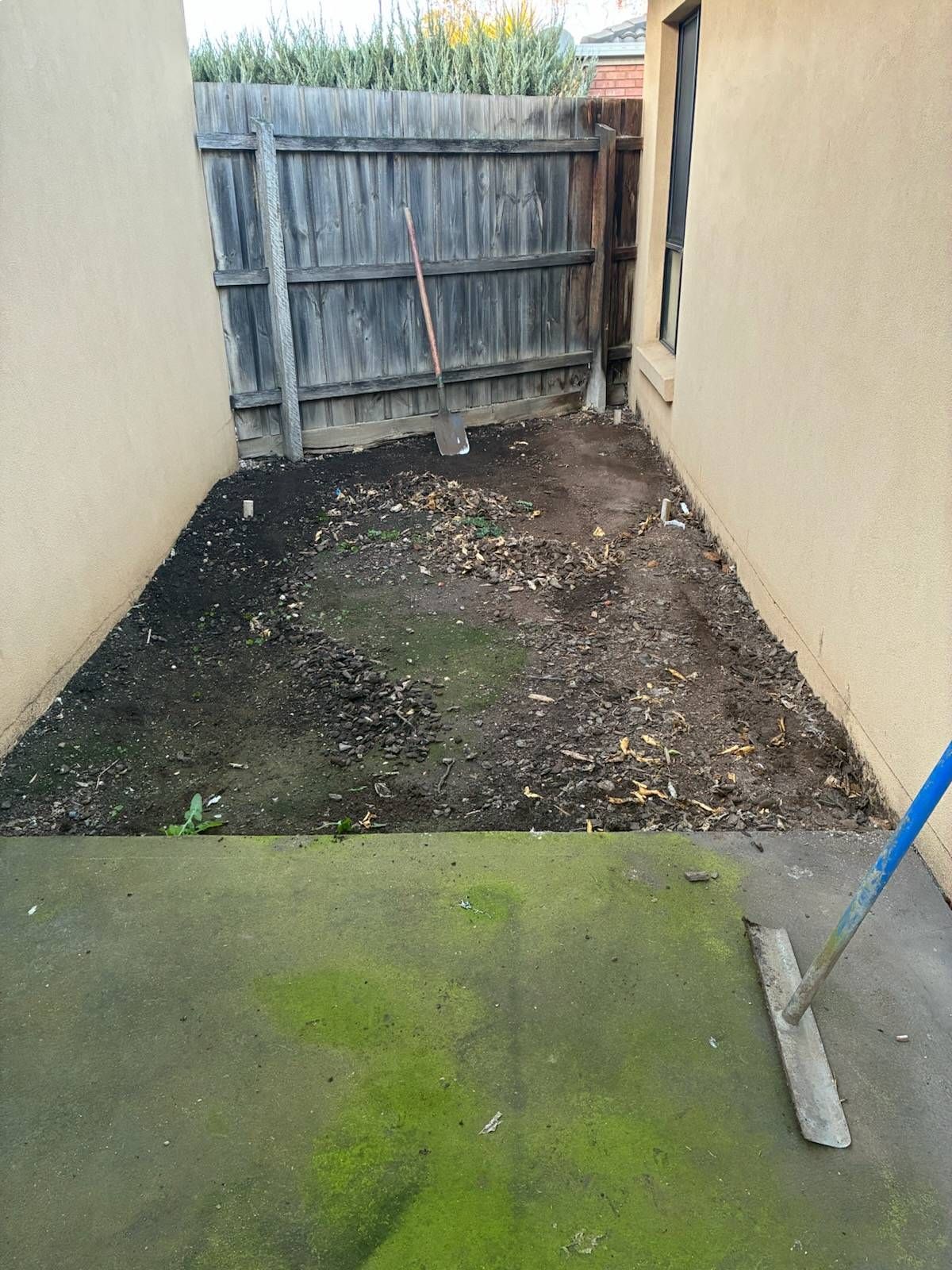 Narrow outdoor space with dirt and a fence, next to a concrete patio covered in green moss.